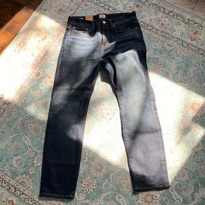 NWT J. Crew denim 31x30